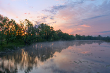 Fototapeta na wymiar Misty morning over the river in the summer