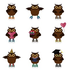 nice owls on white background