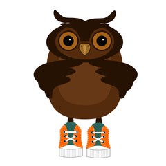 nice owl on white background isolated 