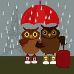 nice pair of owls in Paris with umbrella illustration