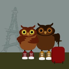 nice owls travel in Paris 