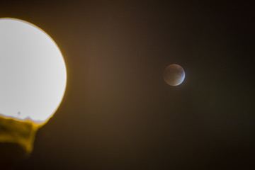 Lunar Eclipse