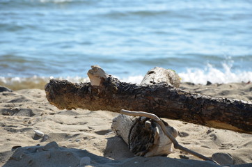 seaside