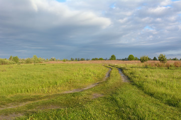 Rural landscape with green field and blue sky