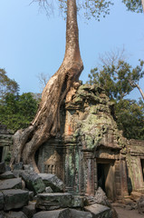 Fototapeta na wymiar Ruin of a temple of Angkor Wat, Cambodia