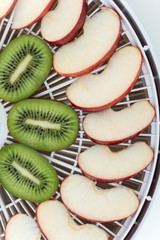 Dehydrator tray with slices of kiwi and apples.
