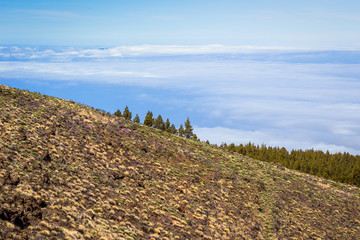 Beautiful landscape of  Teide national park, Tenerife, Canary island, Spain