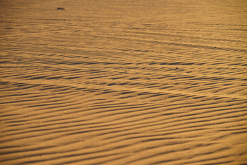 Details of the waves of the desert dunes