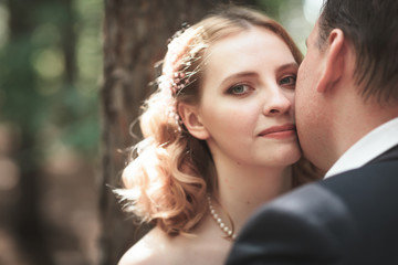 bride and groom on the background of trees and forest sun