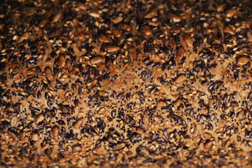 Bread texture, close up view from top. - Image