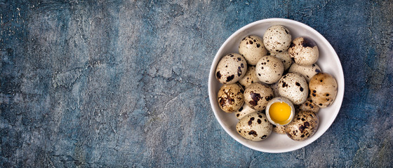 Top view on wide banner with small quail eggs in white bowl