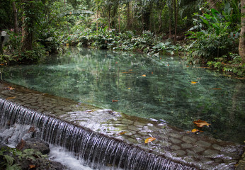 River and small waterfall in the forest,rainforest, jungle in Ocho Rios, Jamaica - 240425659