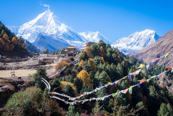 view of manaslu mountains with buddist temple