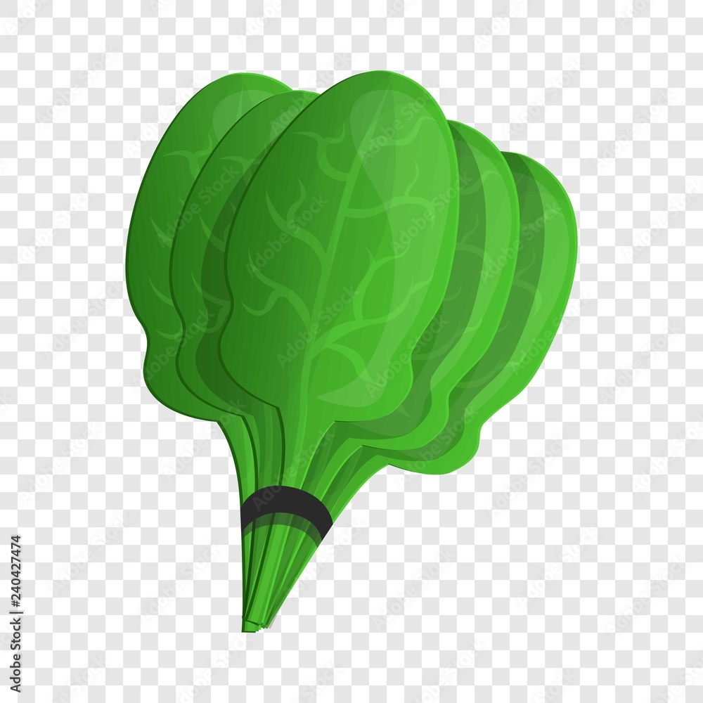 Aufkleber spinach branch icon. cartoon of spinach branch vector icon for web design for web design