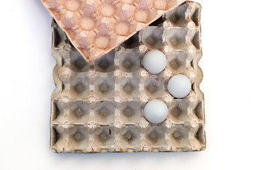 egg box and white chicken eggs, inside on White background