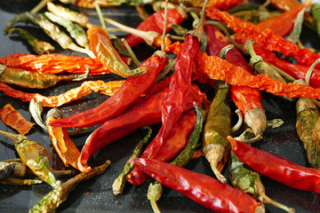 bitter peppers left to dry,