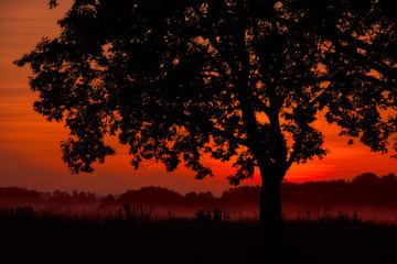 Sunrise silhouette. Russia.