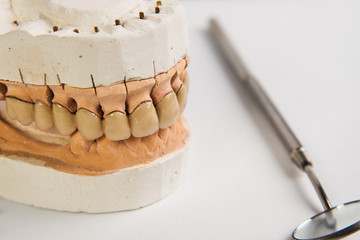 Artificial dentition and instruments in dental laboratory. Denta