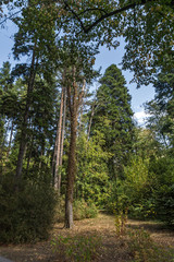 Fototapeta premium Landscape of park Vrana - around former Royal Palace in city of Sofia, Bulgaria