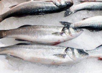 Sea bass carcasses on ice at the counter of the fish market in central Athens. Sale of seafood laid out on the ice in Greece from the Mediterranean