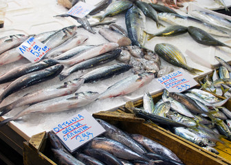 Mediterranean fish in Athens at the most famous seafood market in Greece. Fish on ice with price tags in Greek in the summer, a popular tourist destination