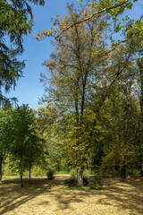Fototapeta na wymiar Landscape of park Vrana - around former Royal Palace in city of Sofia, Bulgaria