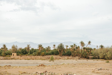 oasis and desert in Morocco