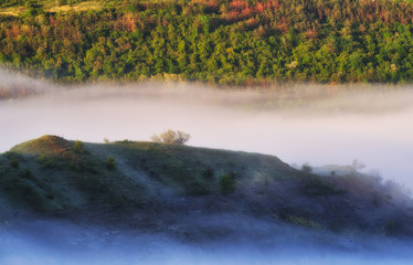 foggy spring morning. picturesque river canyon. fog in the valley