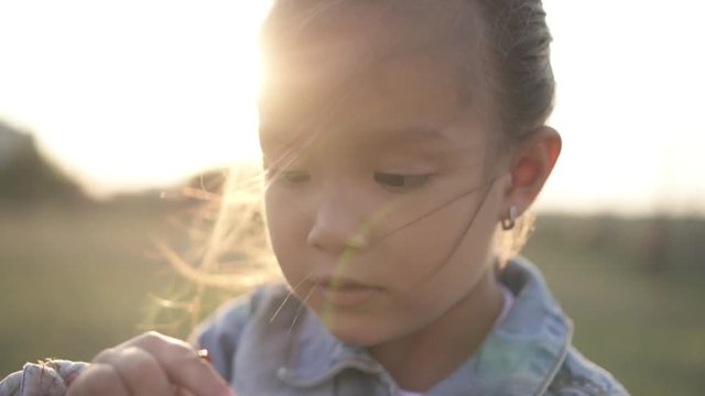 Cute asian girl child looks at the flower with curiosity and interest. Spring or summer season, chineese girl play in park with green grass. Warm sunset time, sun shines from behind on the child. 