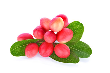 Bengal Currant Leaf Isolate On White Background