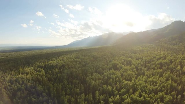Aerial shot of beautiful landscape: mountains, forest, blue sky with clouds, sunset. Drone hovering above the treetops