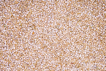 White Organic Chenopodium Quinoa Seeds Macro Close-up Background Or Texture. Top View.