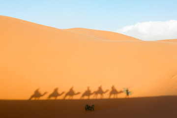 camel caravan silhouettes in sahara desert