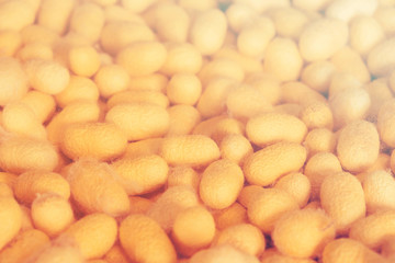 Blurred for background.Golden silk from the local silk. Raw materials for weaving.