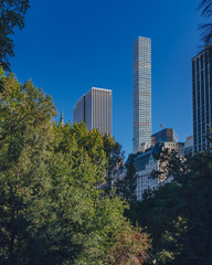 Obraz premium Buildings and skyscrapers of midtown Manhattan above trees, viewed from Central Park of New York City, USA