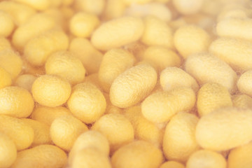 Blurred for background.Golden silk from the local silk. Raw materials for weaving.