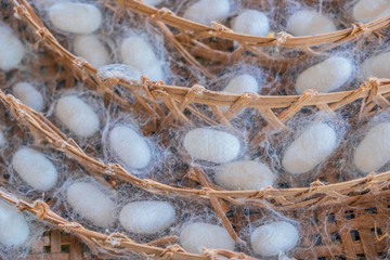 Blurred for background.White silk from the local silk. Raw materials for weaving.