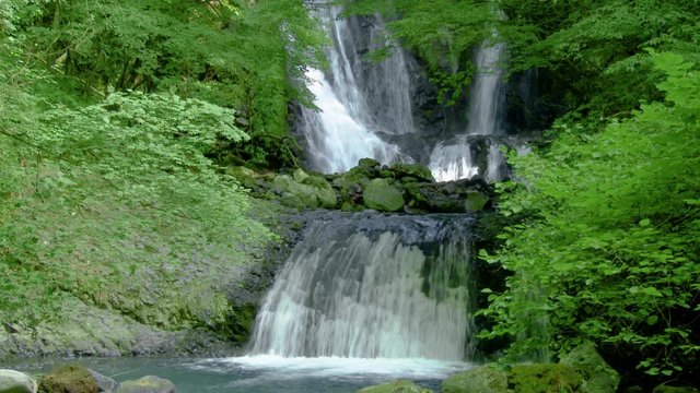 長野県木曽 こもれびの滝