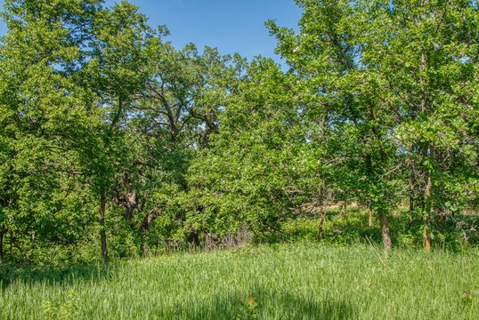 Upper Sioux Agency Is A State Park In Southern Minnesota By A Indian Reservation Of The Same Name