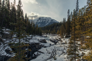 Winter Abascca Falls of Banff Alberta Canada