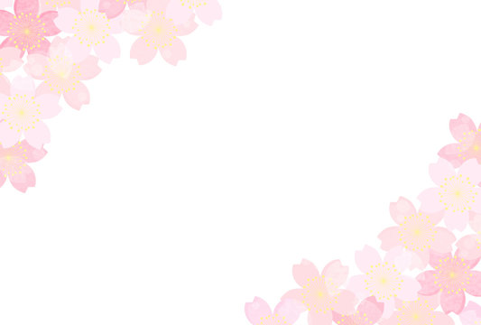 桜　和柄　背景