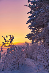 Gorgeous Russian winter landscape shot at sunset