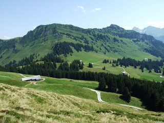 Neuenalpspitz peak on the Obertoggenburg mountain - Canton St. Gallen, Switzerland