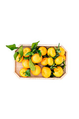 branch of mandarins for New Year and Christmas celebration on white background top view mockup