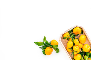 branch of mandarins for New Year and Christmas celebration on white background top view mockup