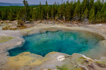 Hot thermal spring Yellowstone