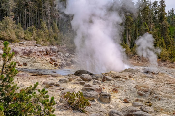 Hot thermal spring Yellowstone