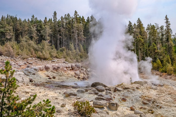 Hot thermal spring Yellowstone