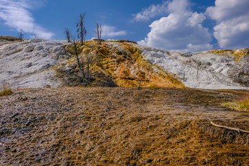 Mammoth Hot Springs  in Yellowstone National Park