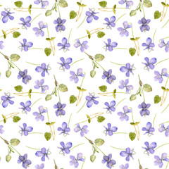 seamless pattern with flowers of viola